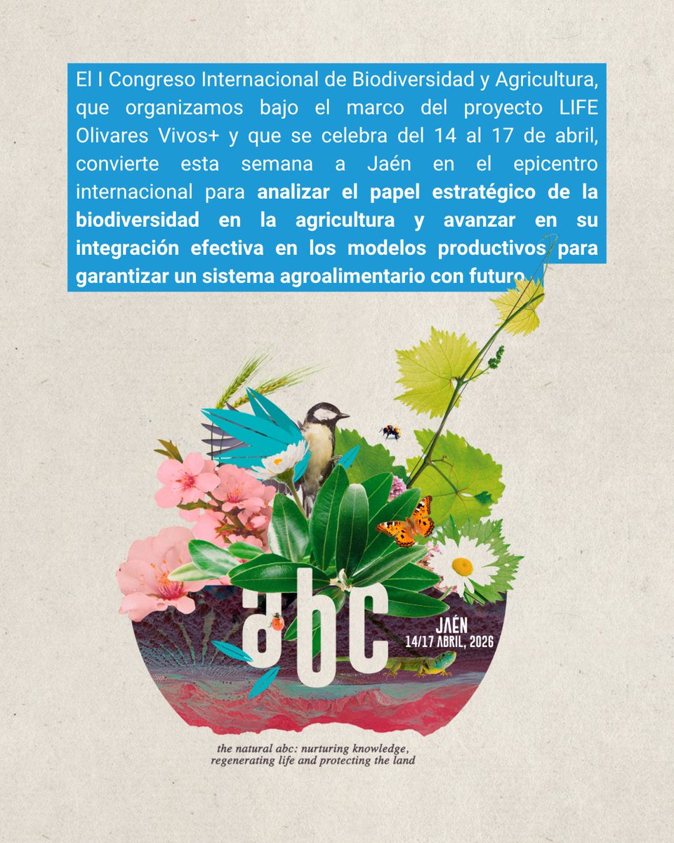 SEO/BirdLife tweet media