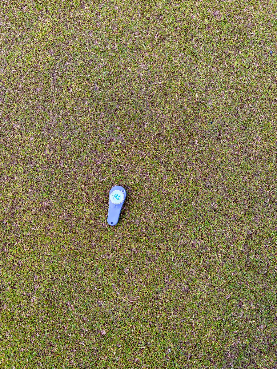 AaronA212's tweet photo. Two days after double dimple seed and sand @CountySligoGC .  Some heavy showers have since sped up the process leaving surfaces looking and rolling great ⛳️ https://t.co/Ge6wUC8LM8
