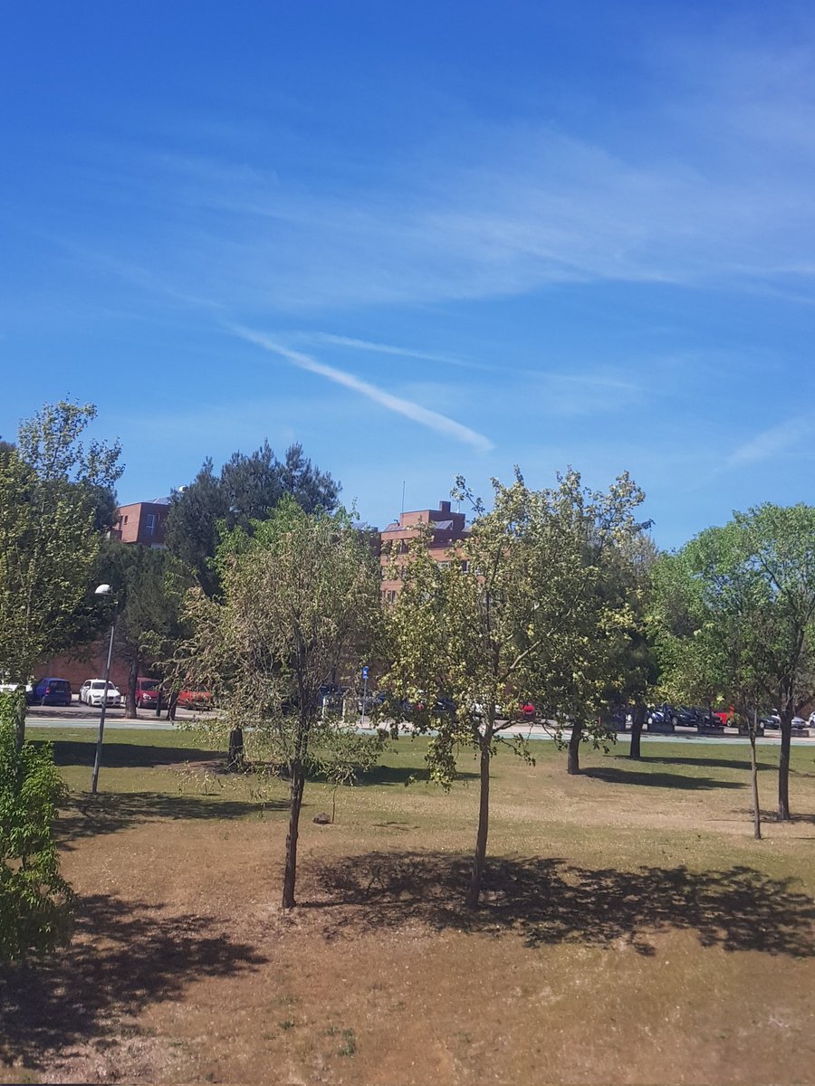 FC Estrella Coja tweet media