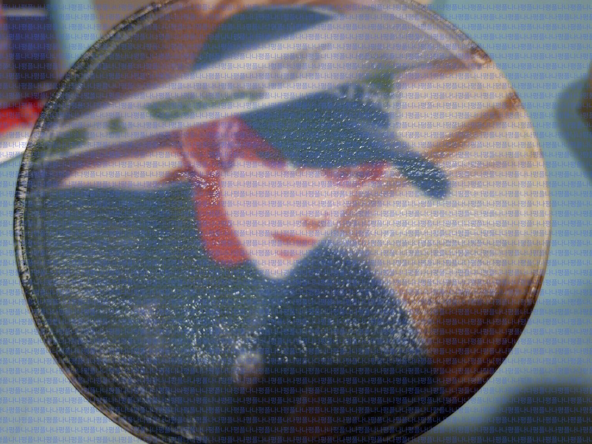 나나 평플 쿼카2 tweet media