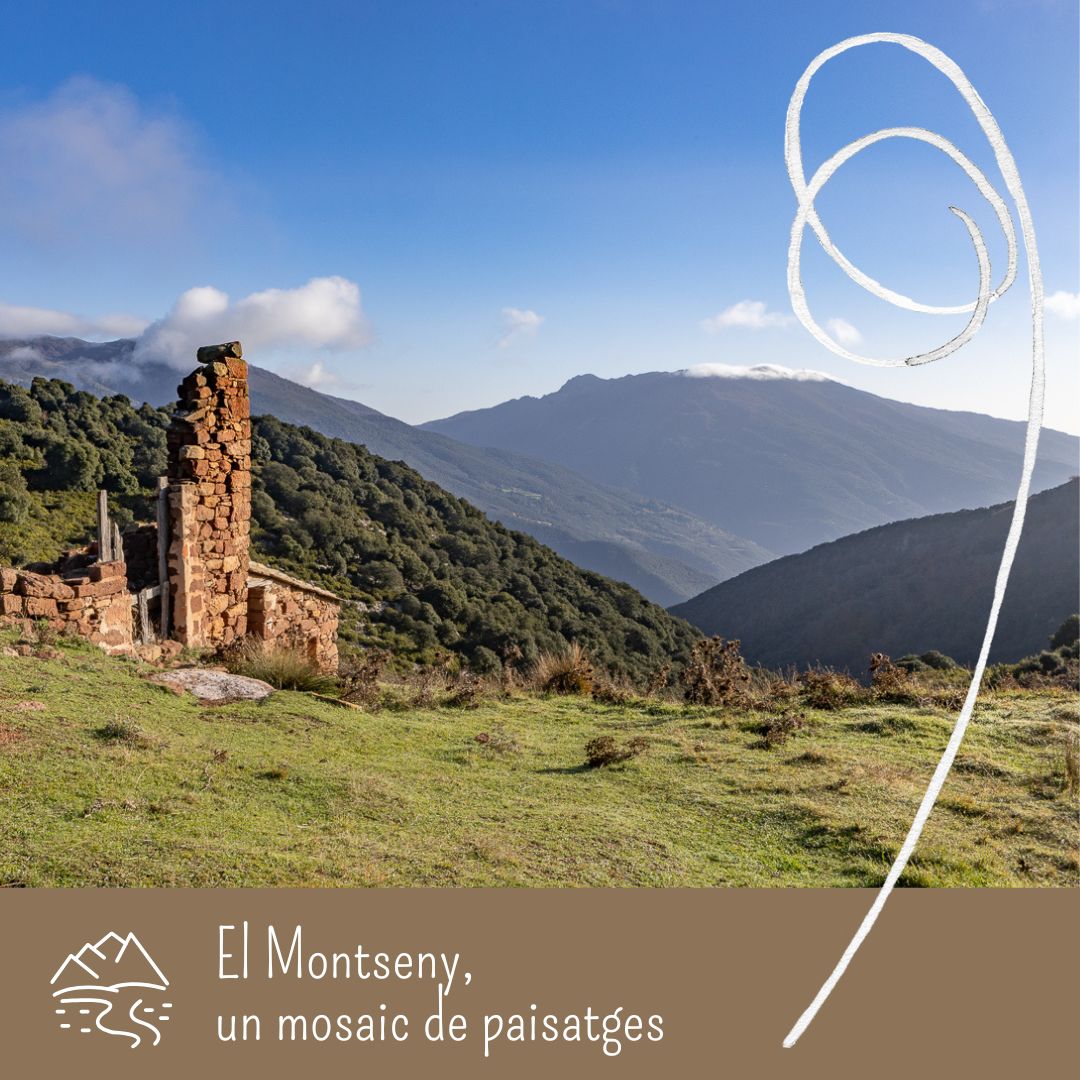 Turisme Montseny tweet media