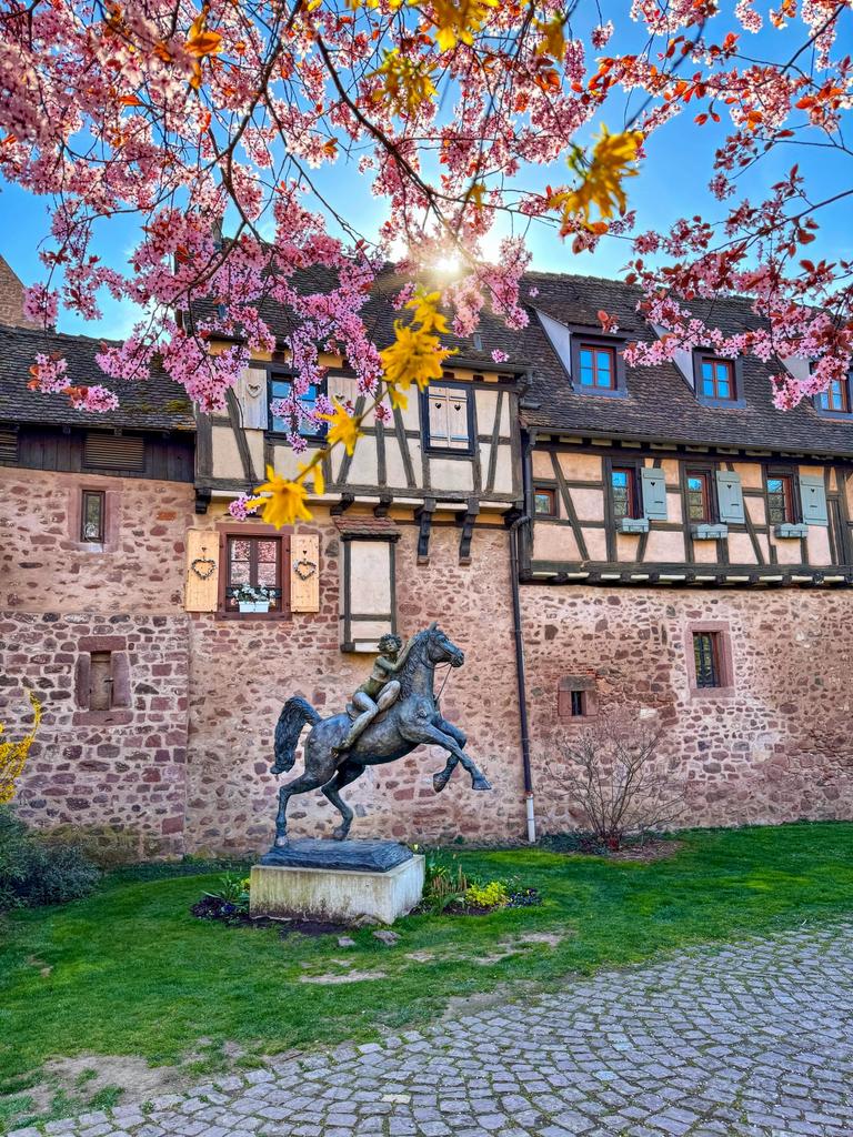 The Nature tweet media