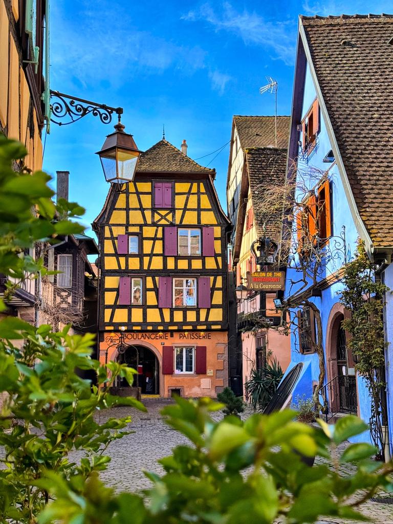 The Nature tweet media