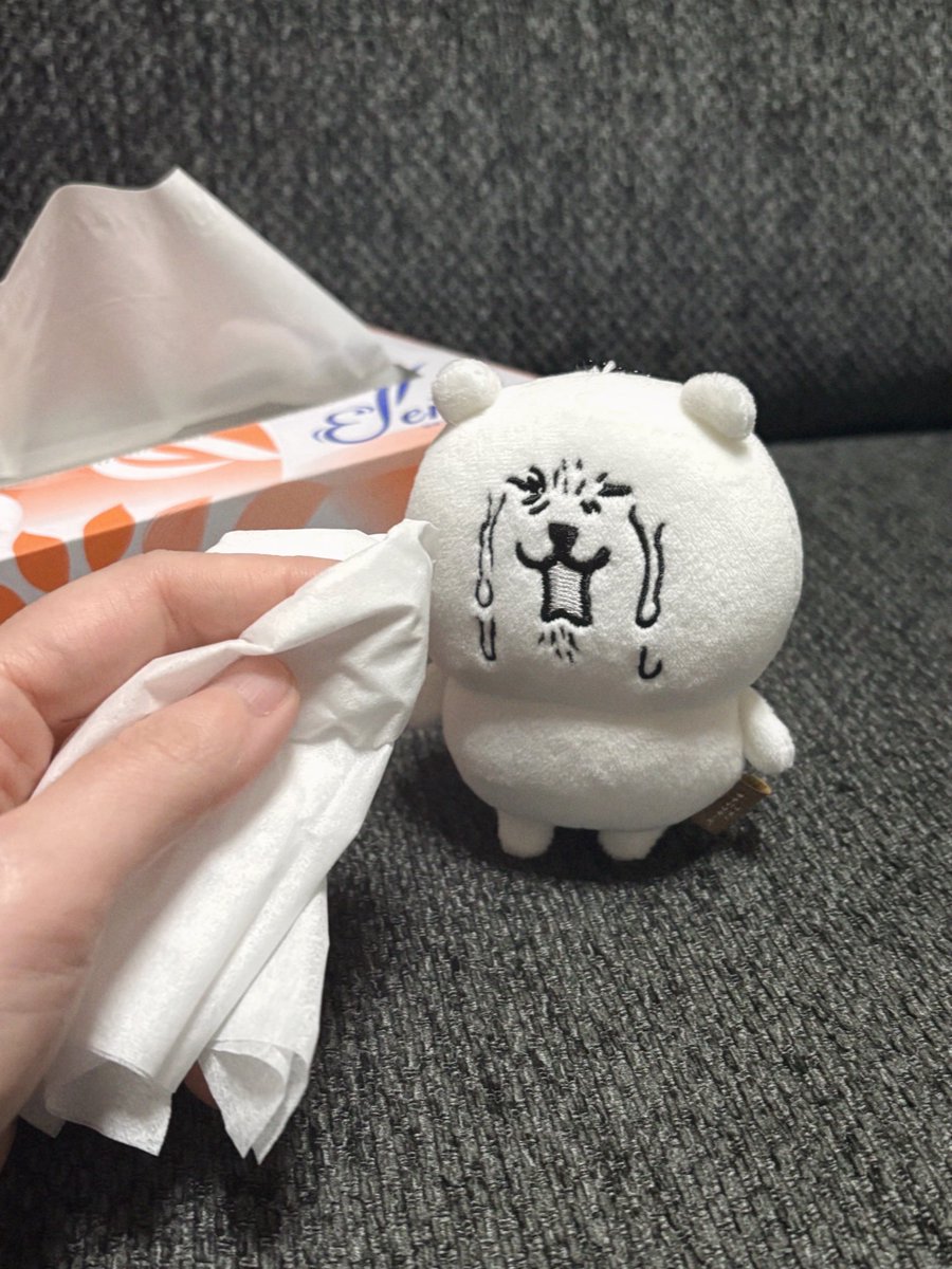 ﾁｬﾘﾒﾗﾁｭﾙﾁｭﾙ丸◎ tweet media