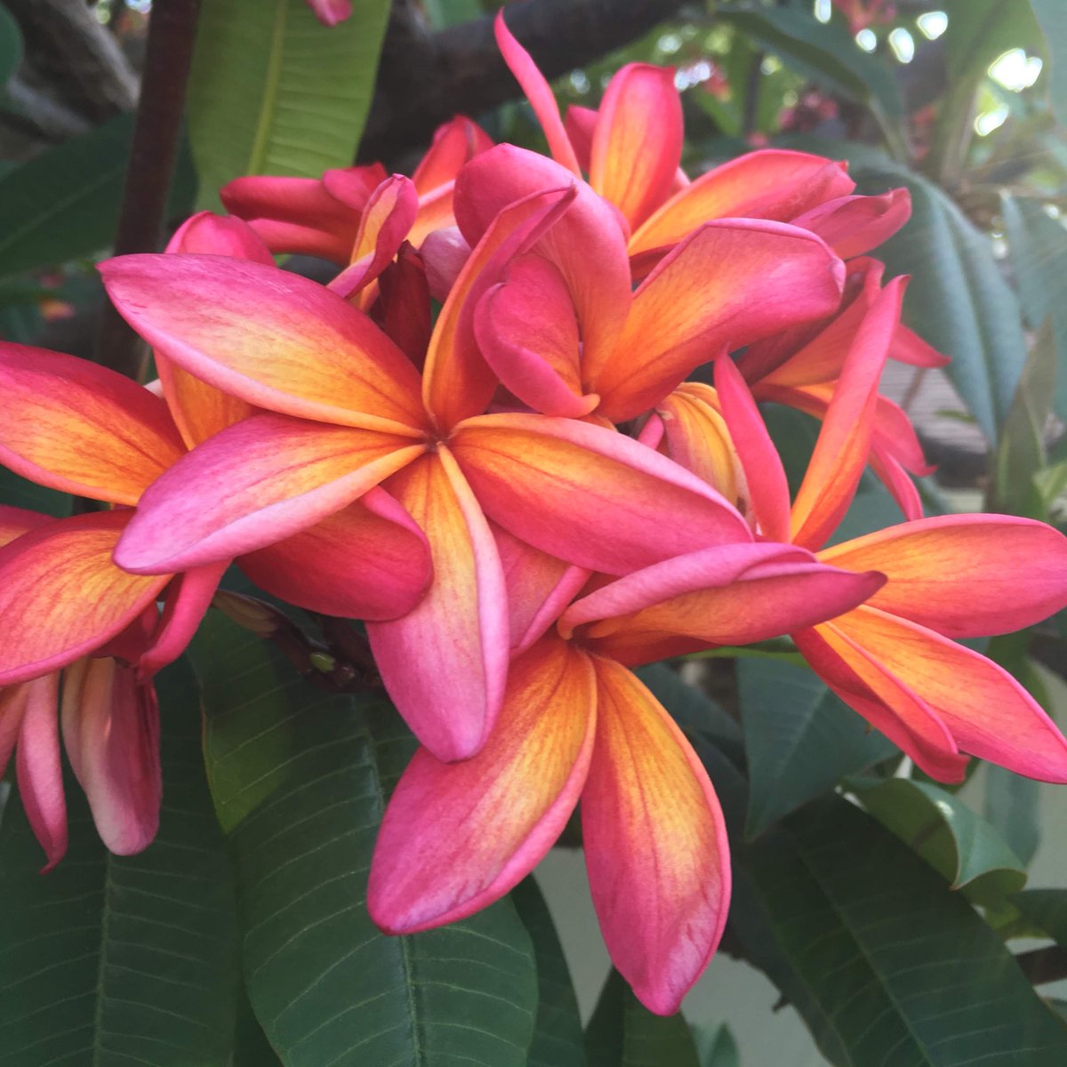 🌙 gigi bang tweet media