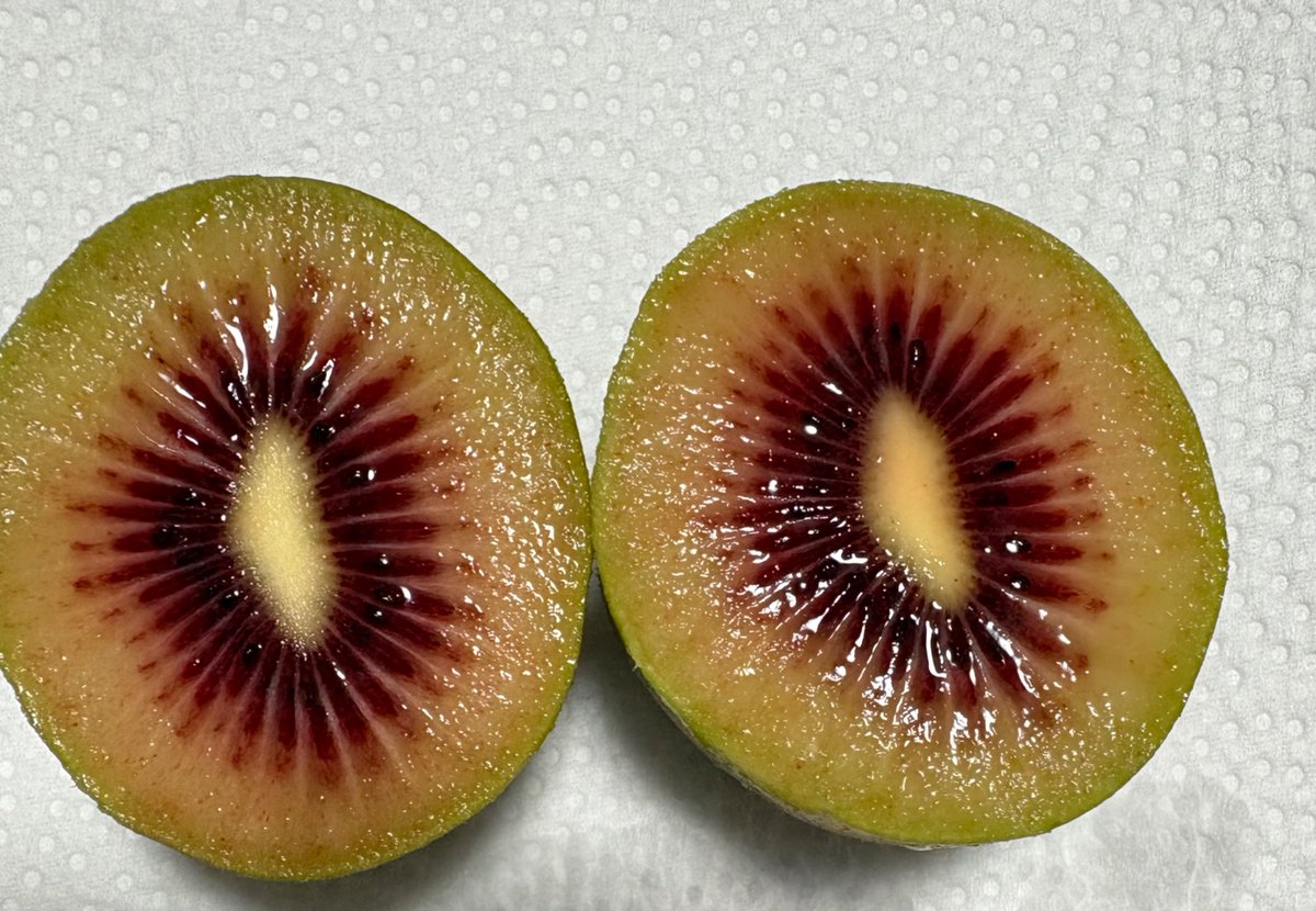 もここ tweet media