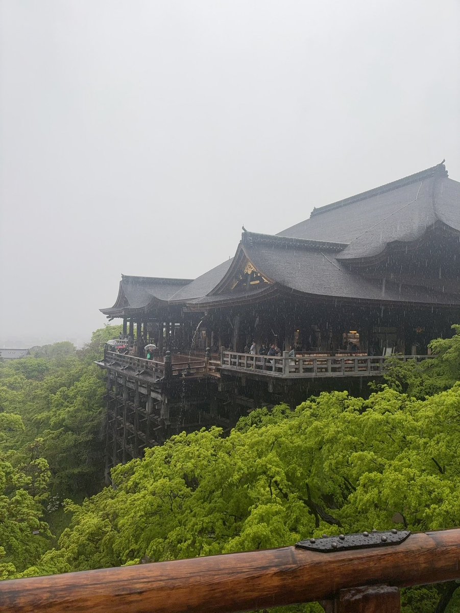 Alice/i夢 tweet media