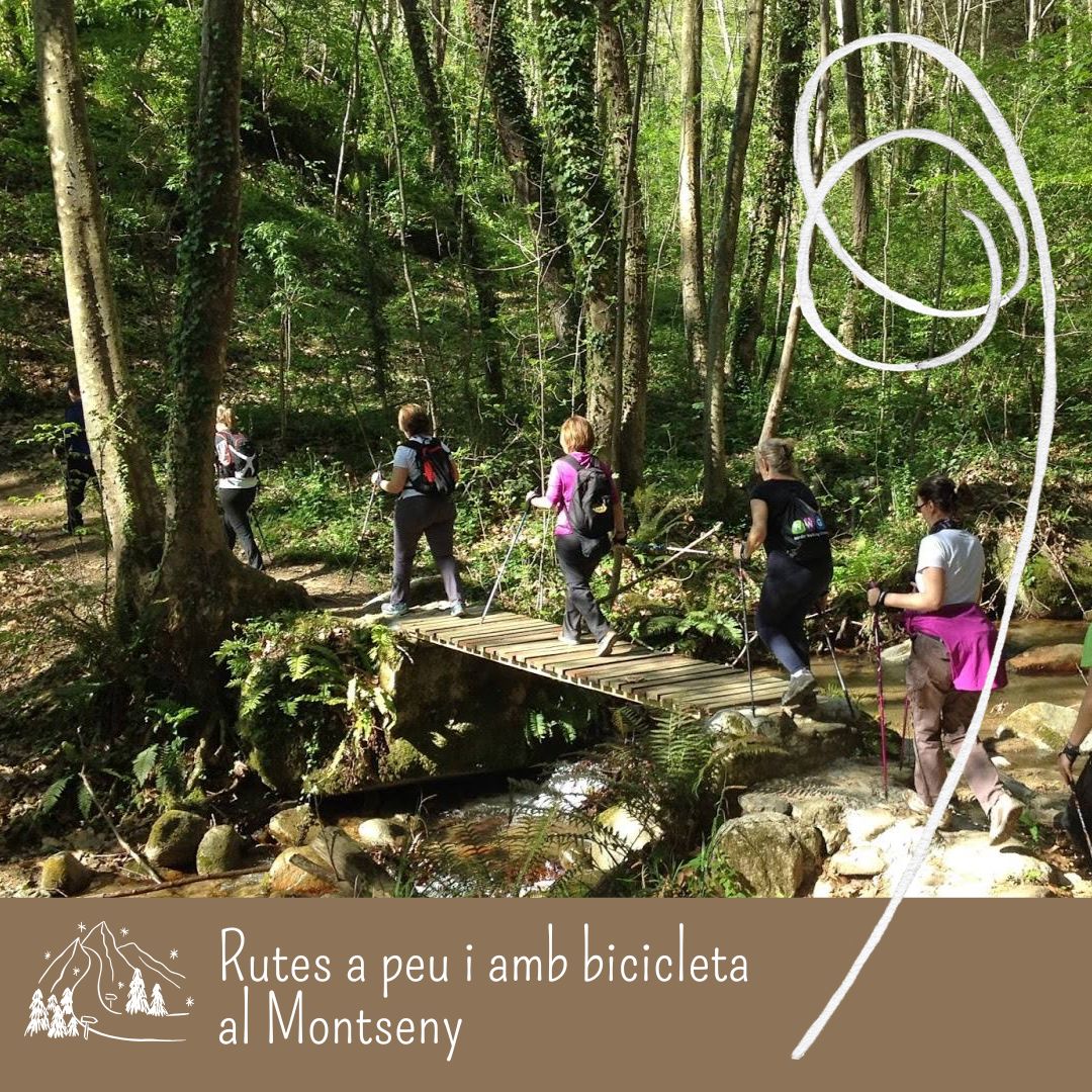 TurMontseny's tweet image. 🥾🚴‍♀️ Rutes al Montseny

A peu o en bici, descobreix el Montseny al teu ritme: boscos, pobles i paisatges que canvien amb cada estació 🌲

💚 Natura, calma i connexió amb el territori
👉 Respecta l’entorn i els camins
#Montseny #Senderisme #BTT #Natura