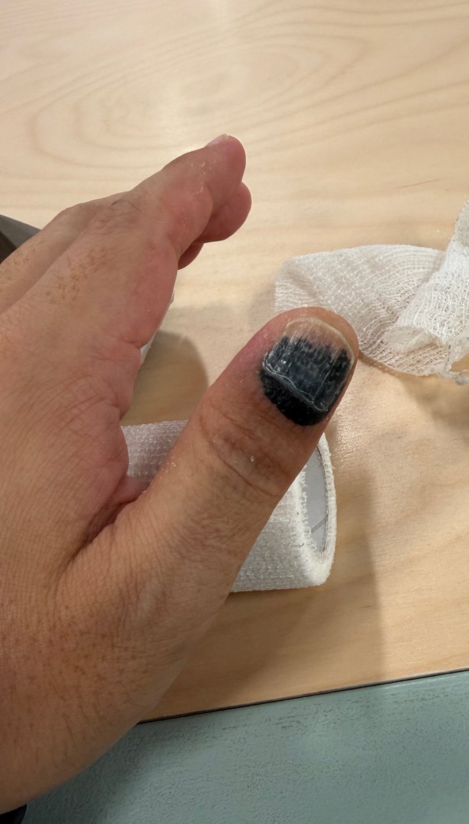 Grænn Next Eurofurence tweet media