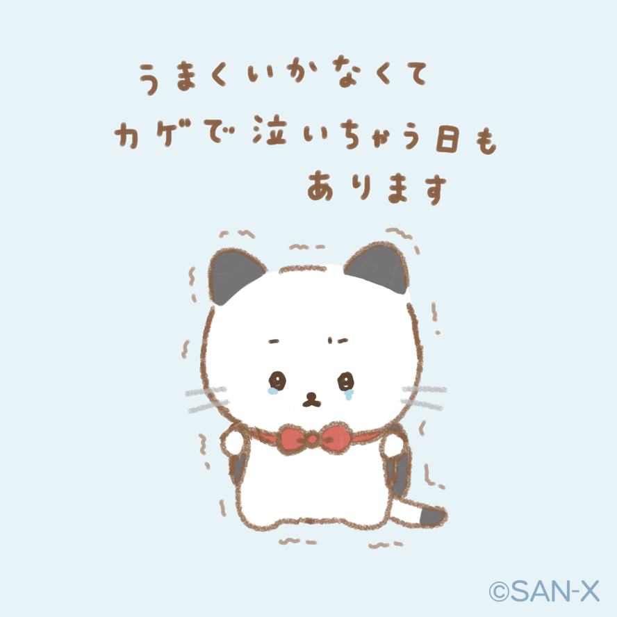 いしよわちゃん【公式】 tweet media