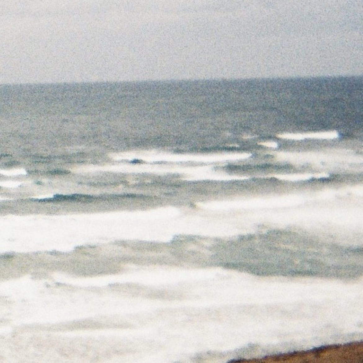 Deltor_exe's tweet photo. Waves
out now
https://t.co/C08fNDMUPE https://t.co/u3PyncRQR0