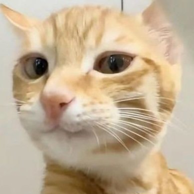 𝓝𝓪 tweet media