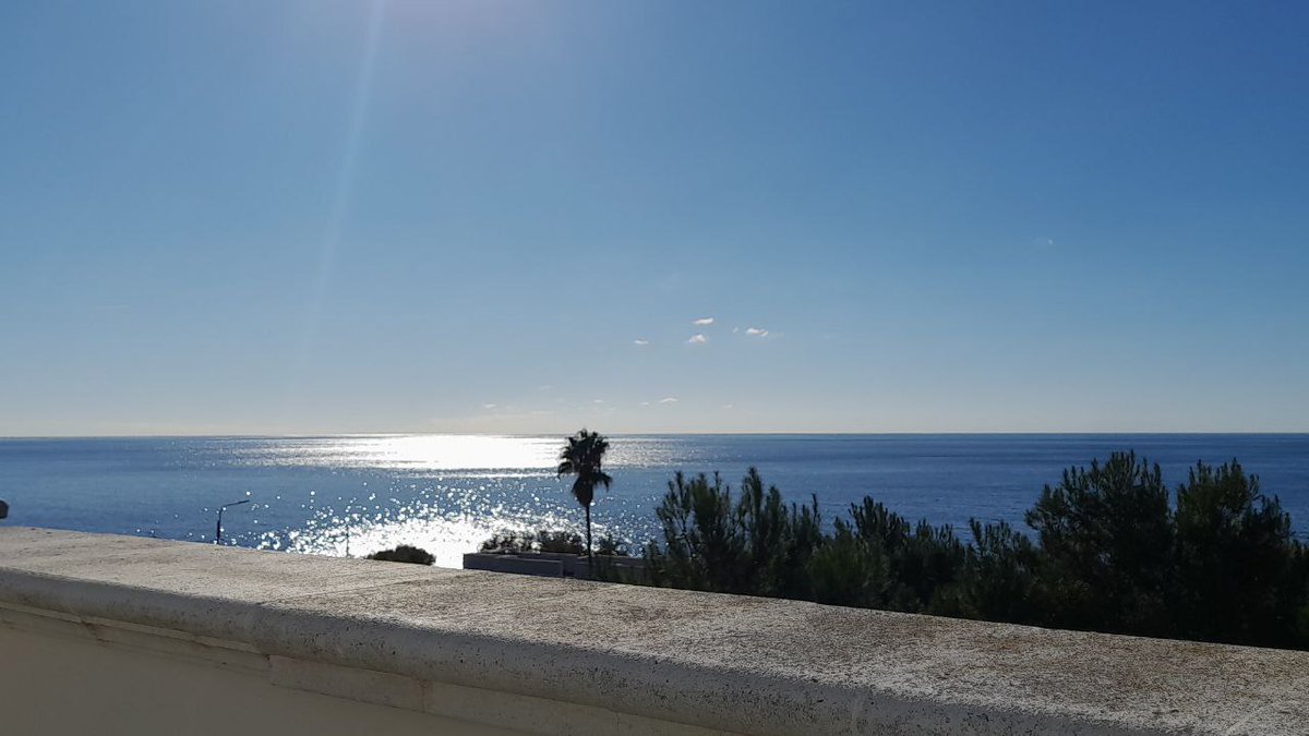 VillaSatyria's tweet image. Ti sei mai chiesta perche', appena arrivi al #mare, senti subito una specie di reset mentale?
#amepiaceilsud
#Apulia
#viaggioinitalia
VillaSatyria.it