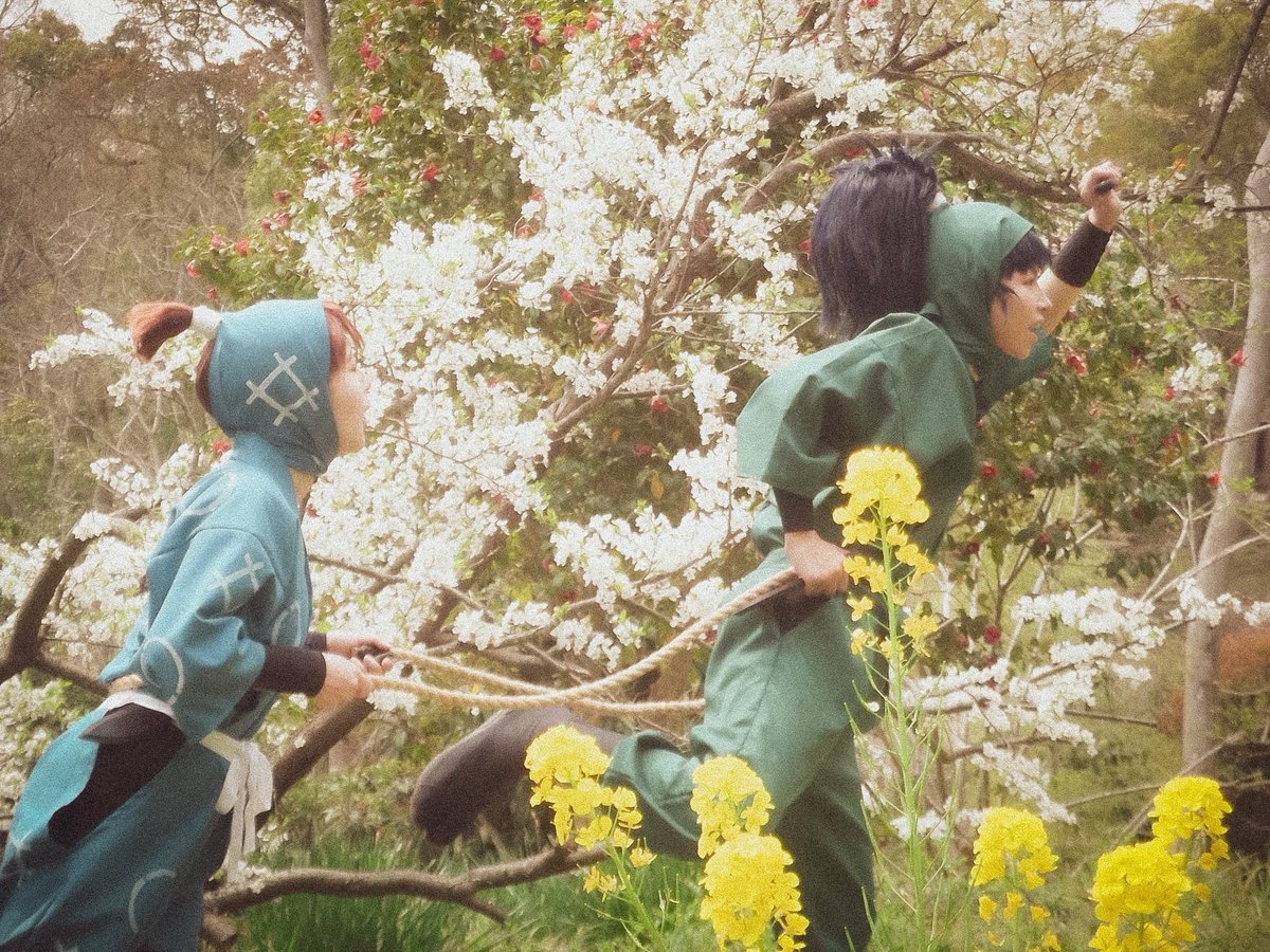 ナセコ🧸 tweet media