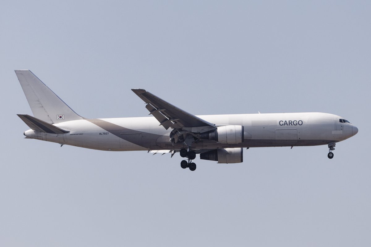 でち公 tweet media