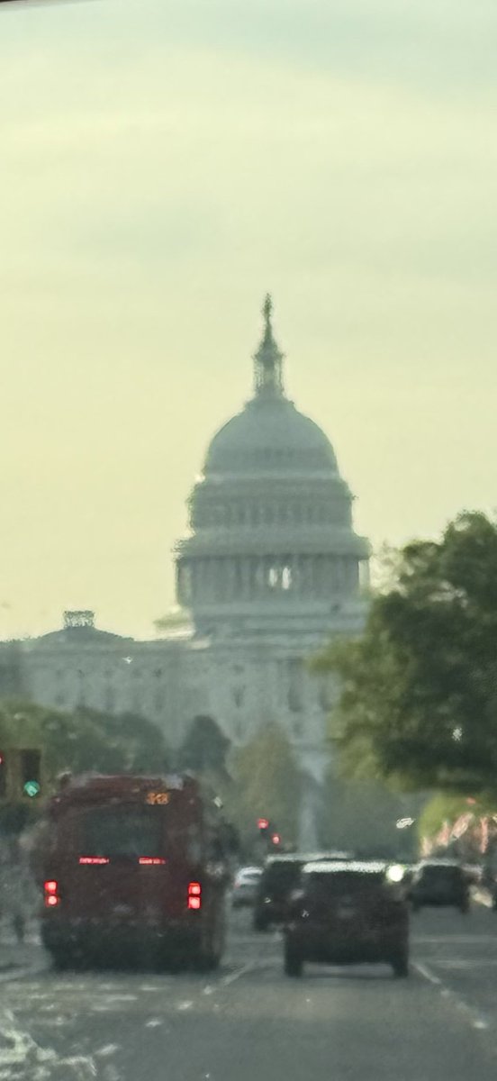 The Bonnell Foundation tweet media