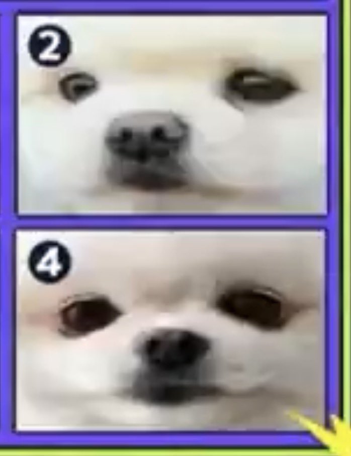 링호선 tweet media