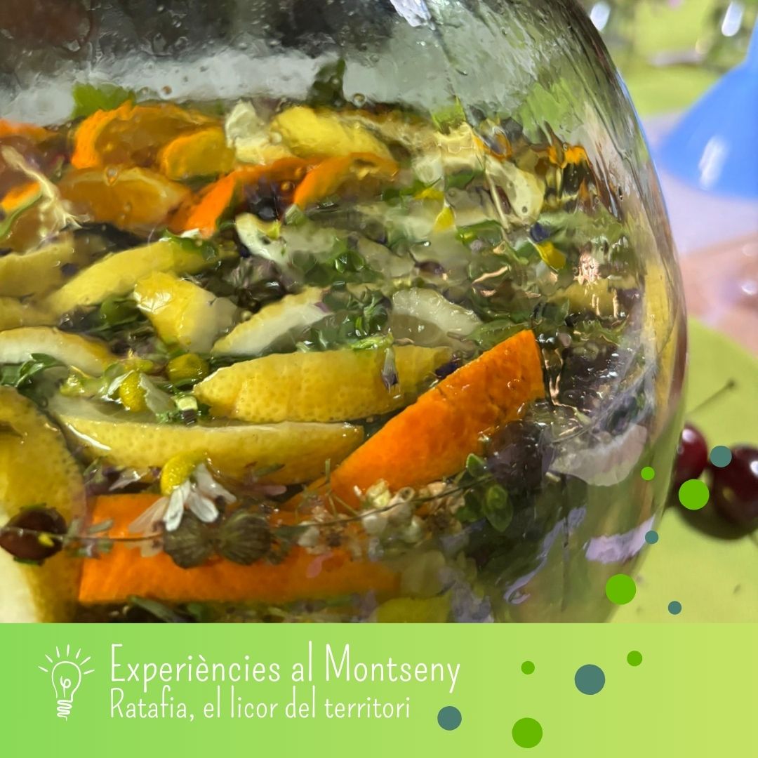 TurMontseny's tweet photo. Experiències al Montseny: Ratafia, el licor del territori
Més que un licor: tradició, bosc i cultura en cada glop 🍃
Reserva ara a https://t.co/yiFsXDBuYE
#Ratafia #ProducteLocal #Montseny https://t.co/2DGgjYLFdG