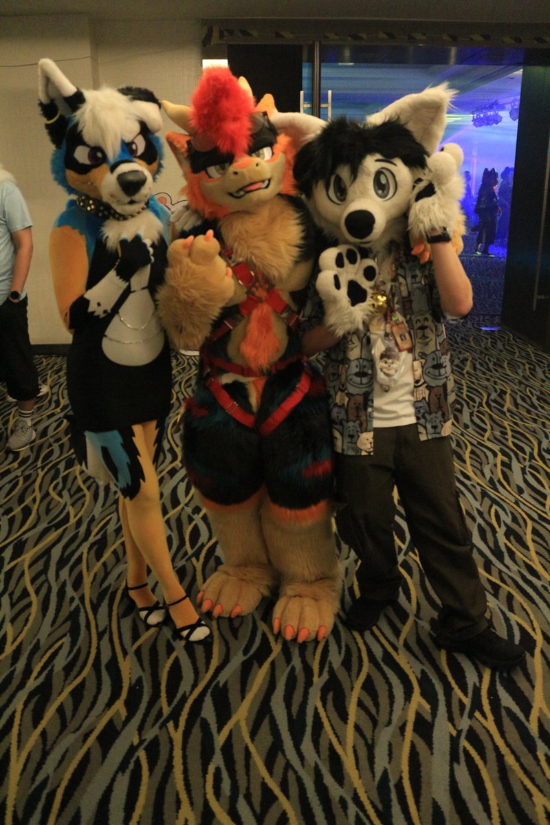 koimei2's tweet photo. @Law_CY @ClaraCoydog @Shamo_Fursuit #FURUM2025 https://t.co/UsHqxSu871