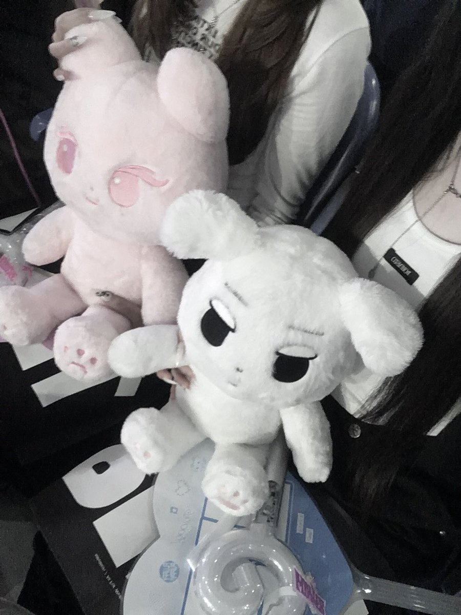 랑⟡.· tweet media