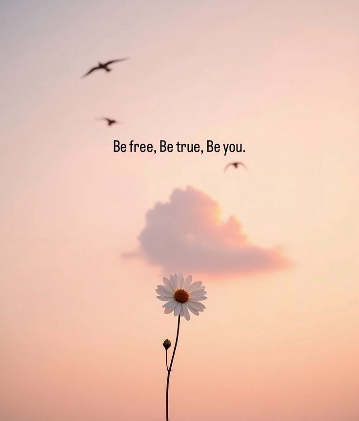 MQUOTESLIFE's tweet image. Be free. Be true. Be you.
The world will adjust. 🌅
#SelfLove #Freedom #BeYourself #Mindset #Motivation