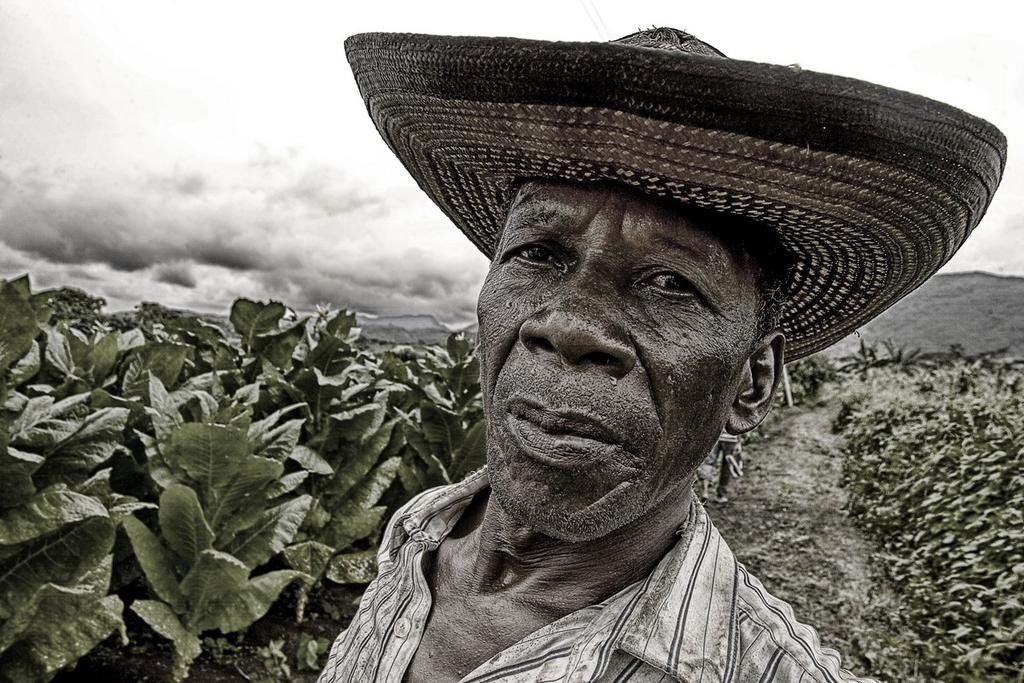 linamcardonag's tweet photo. El campesino no pide regalos…
pide oportunidades.

Y eso es lo que este #Plan10 de Paloma Valencia le devuelve al campo colombiano. https://t.co/7alnqsoM3S