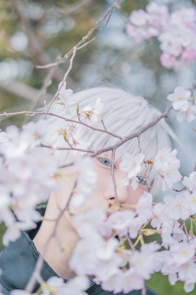 ぽぉ助 tweet media