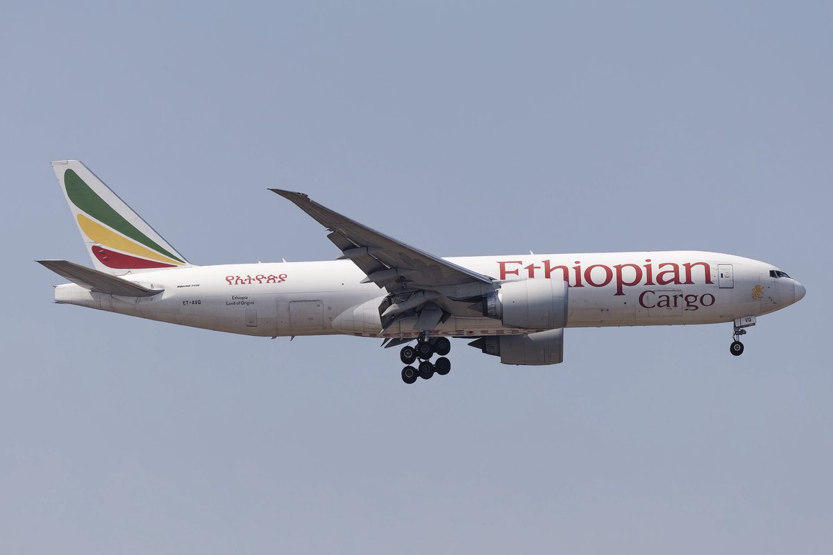 でち公 tweet media