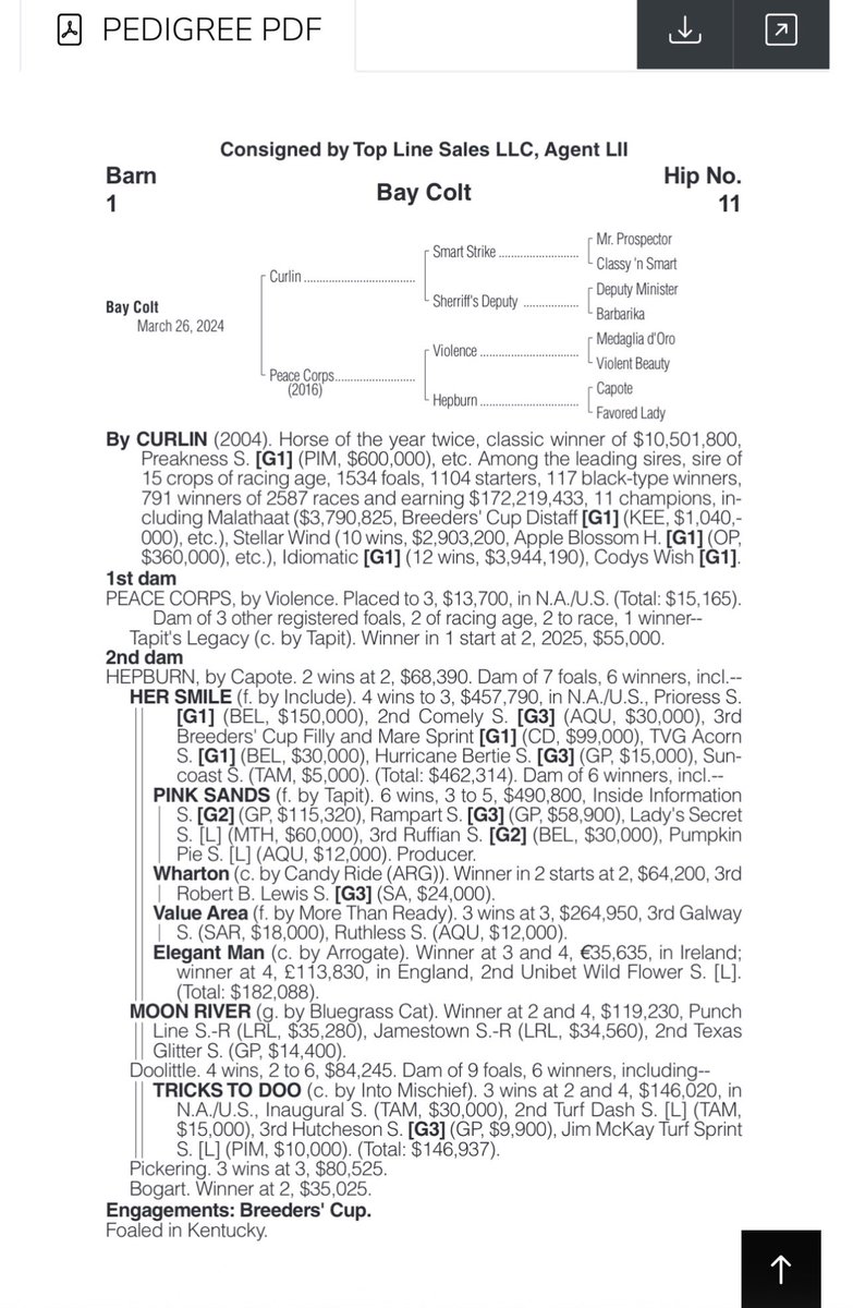 IsItSwift tweet media