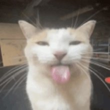 عبدالرحمن جمجوم tweet media