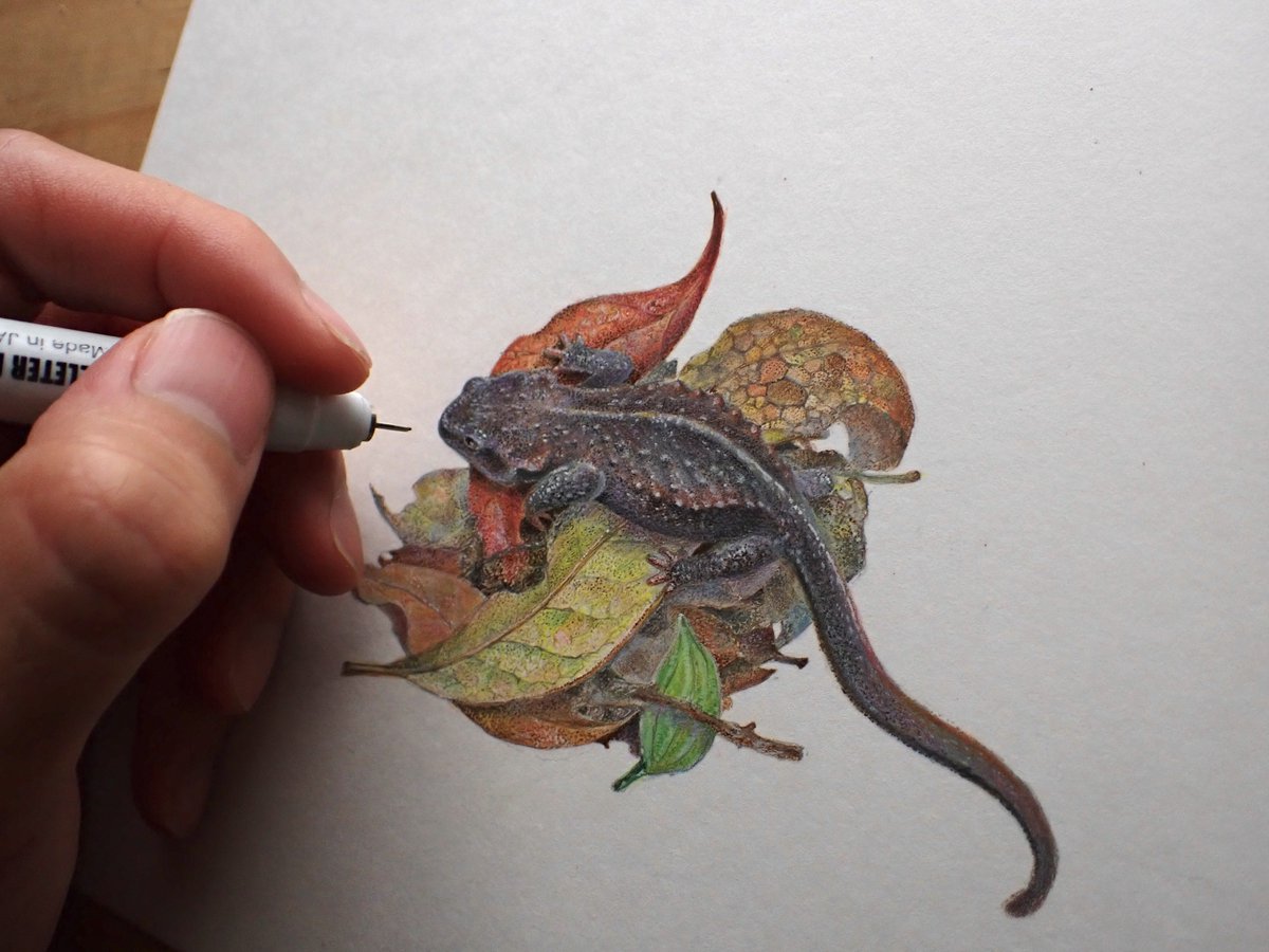 ユウキモドキ tweet media