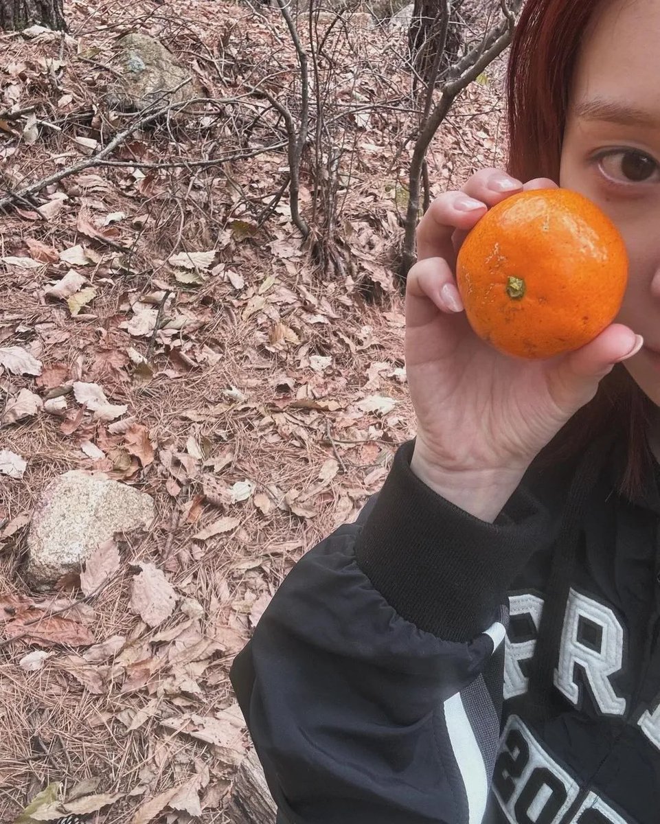 マッドネス2 tweet media