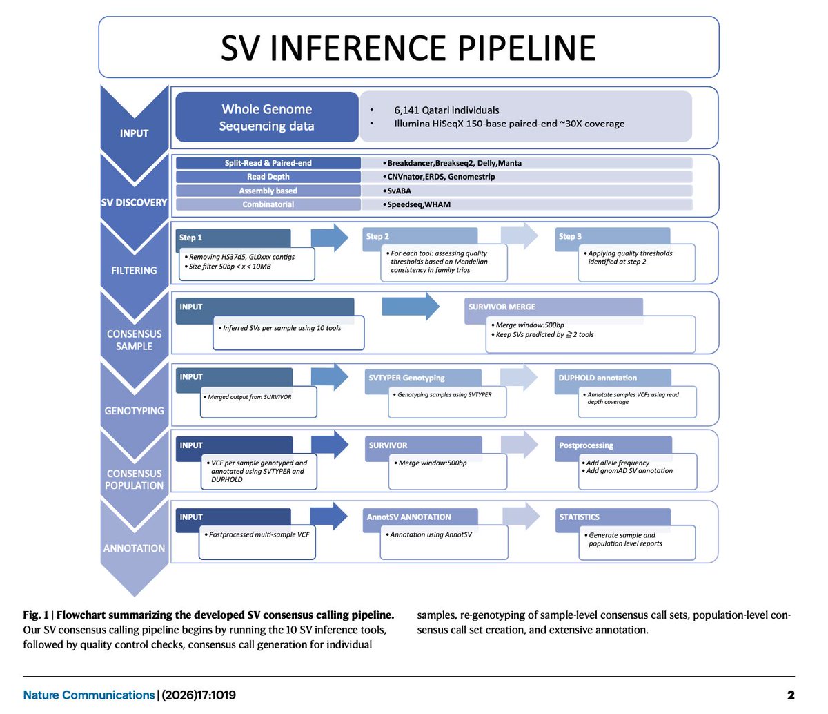 WCM-Q Research tweet media