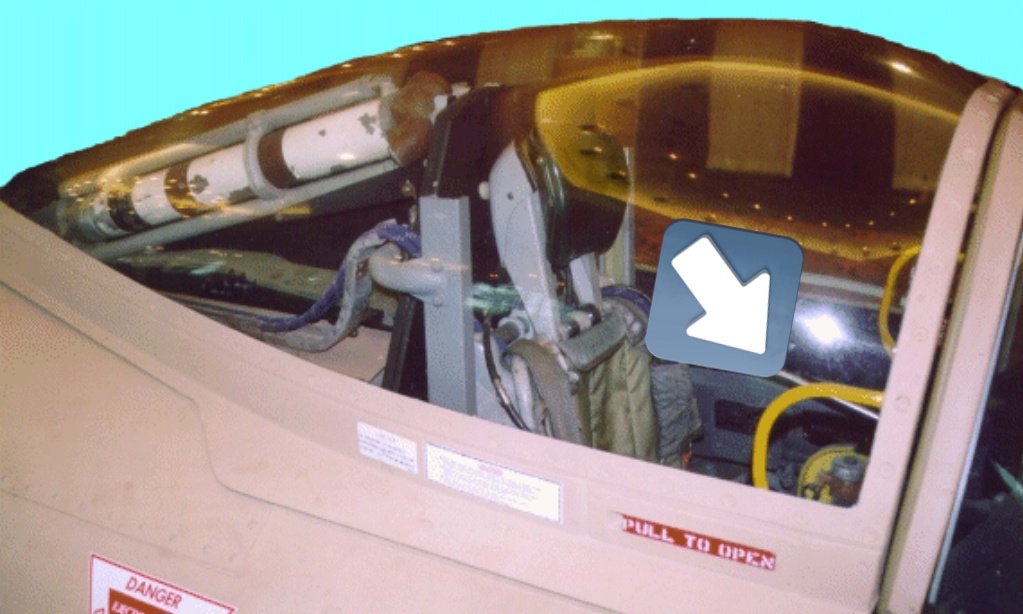 あおグース tweet media