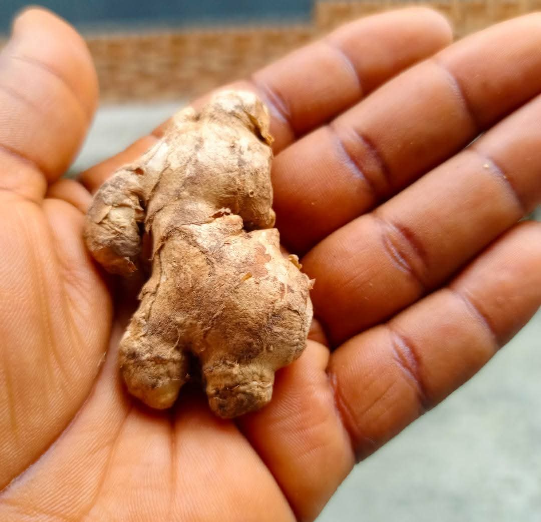 ClipStreamHQ tweet media