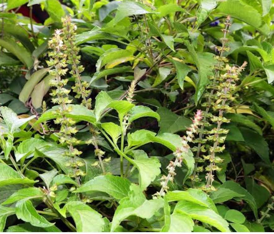 ClipStreamHQ tweet media