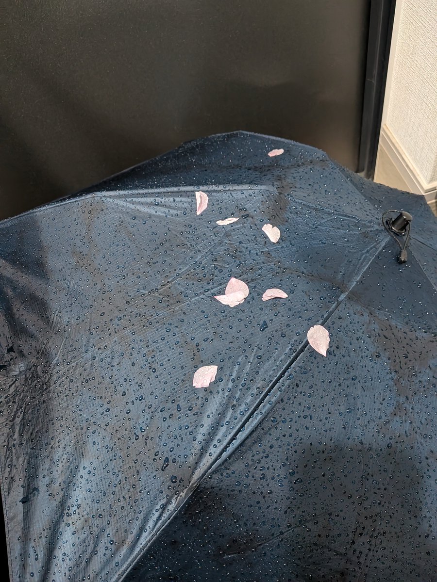 しろくま＠固ツイにゆる募 tweet media