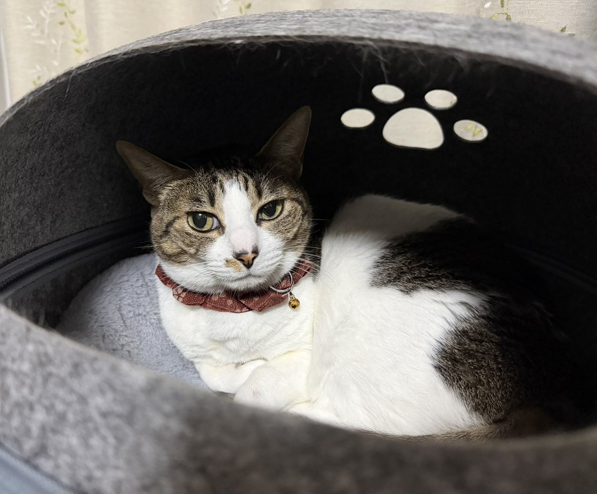 寧々子 tweet media