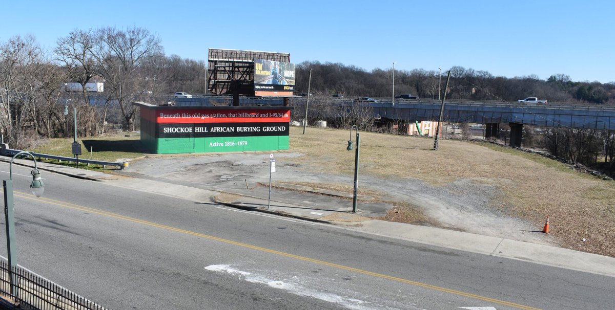 🔸️The.Angry.Ostrich. tweet media