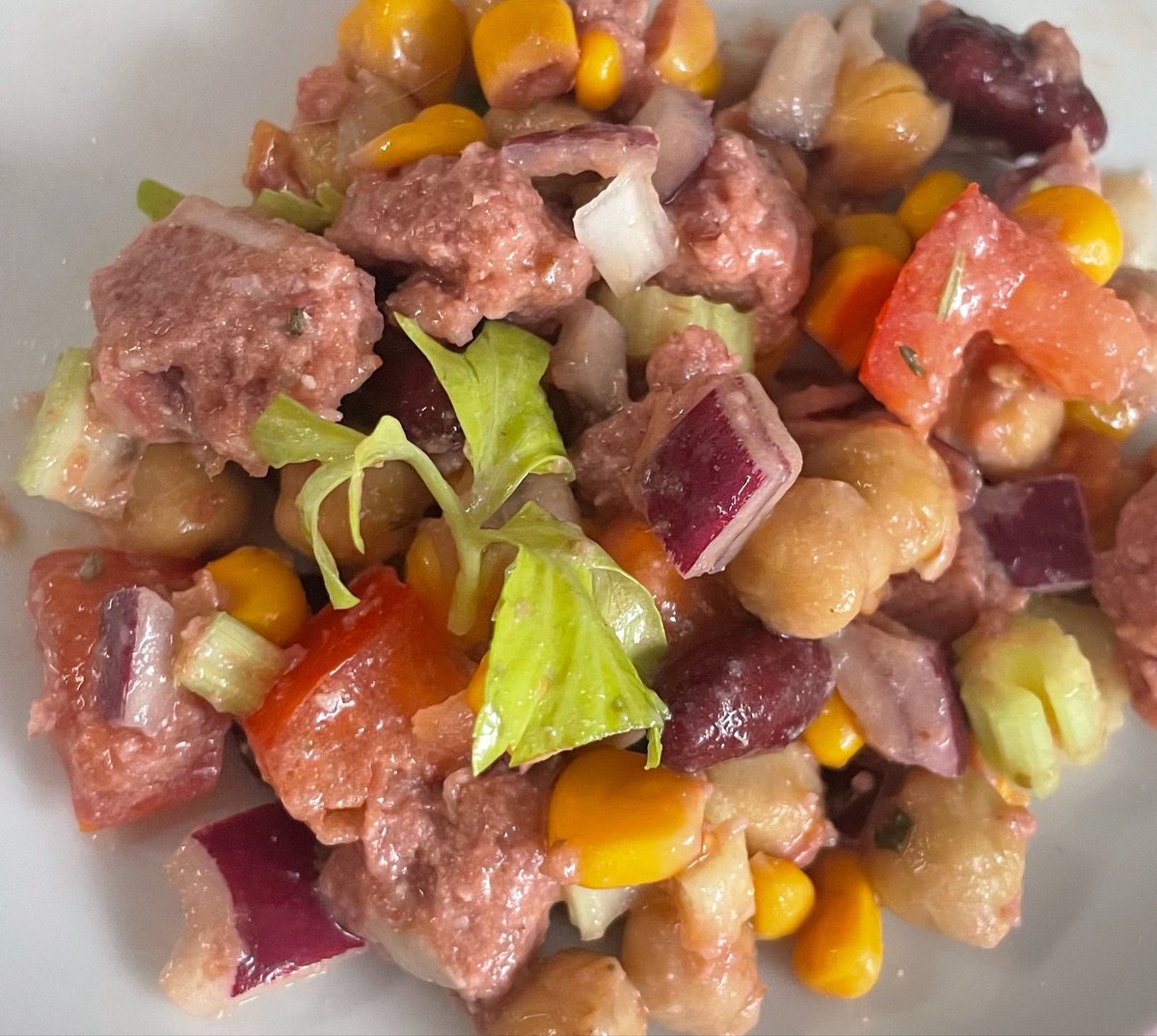 トコ🇩🇪ドイツ魔女見習い tweet media