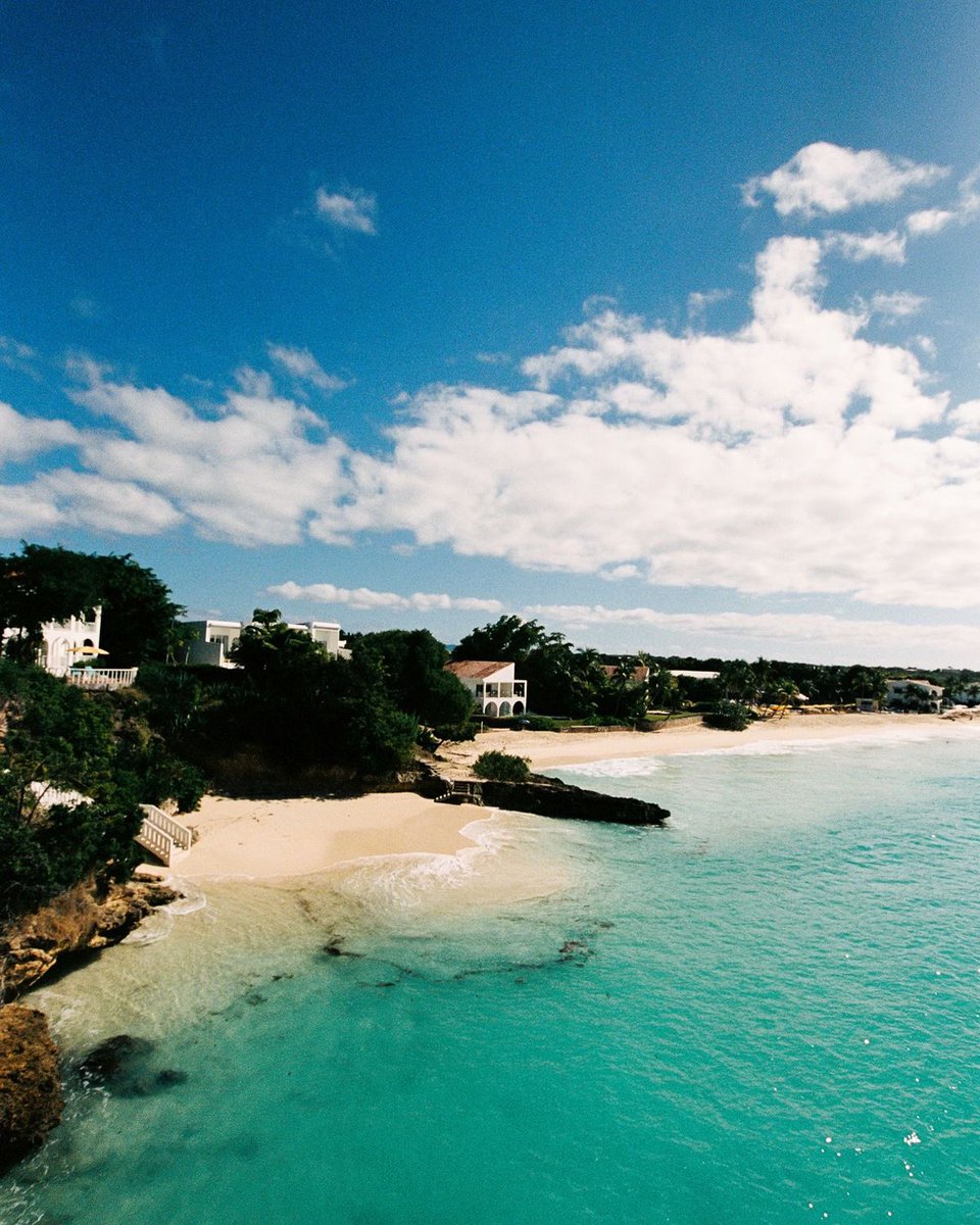 vistaaura tweet media