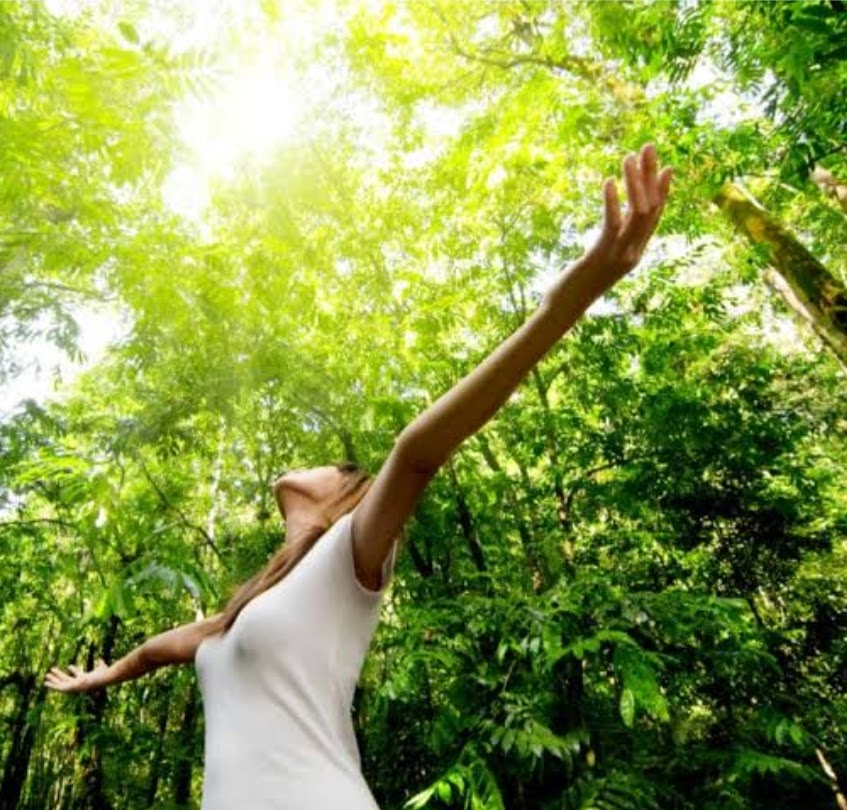 saudeedietatop's tweet image. "Il momento più bello della vita, il più ricco e il più carico di futuro è il momento presente" (Lemoine). Pensare troppo al passato può suscitare tristezza o rimpianti, e pensare troppo al futuro ansia o paura. Vivere il presente aiuta la #salute olistica! #frase #mindfulness