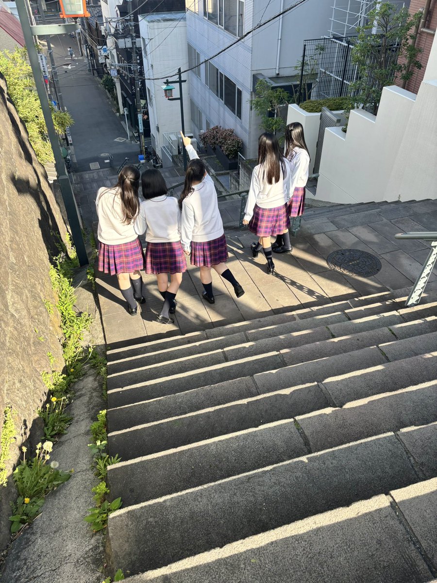 7限目のフルール tweet media