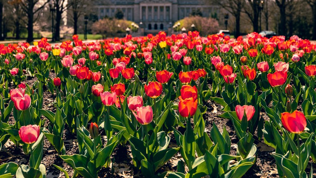 ky_lrc's tweet photo. Good morning, Kentucky! Today is the final day of the 2026 Legislative Session. The Senate Education Committee will meet at 10 a.m. before the Senate convenes at 11 a.m. The House gavels-in at 10 a.m. Everything will be livestreamed on https://t.co/R1KoSxU6VA #kyga26 https://t.co/AQqcQ9zzTM