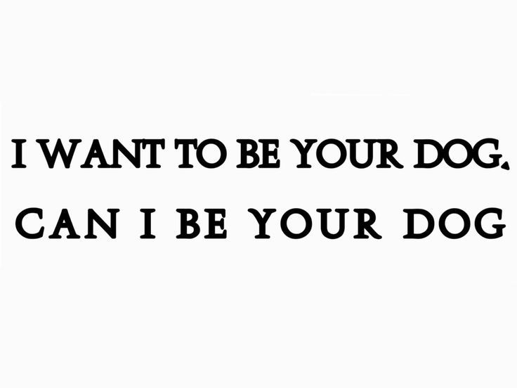 🐾Puppy boy 🐾 tweet media