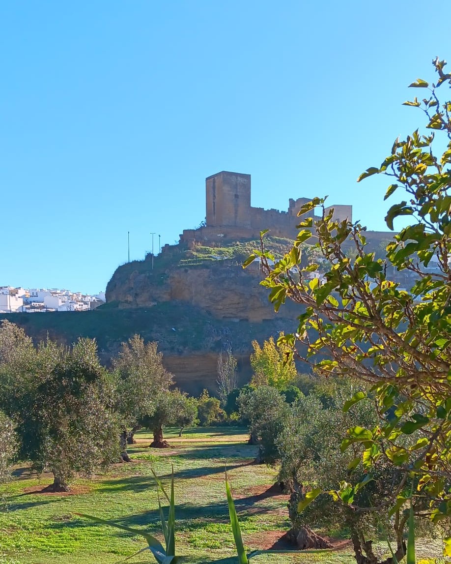 turismoguadaira's tweet photo. El Camino de La Retama nos ofrece unas espectaculares vistas del Castillo y el Barrio de San Miguel.

Un paseo que puede comenzar en el Puente de Jesús Nazareno y finaliza en el Parque del Puente del Dragón, en el que podemos admirar el patrimonio natural y cultural de Alcalá. https://t.co/pslwy4TPk4