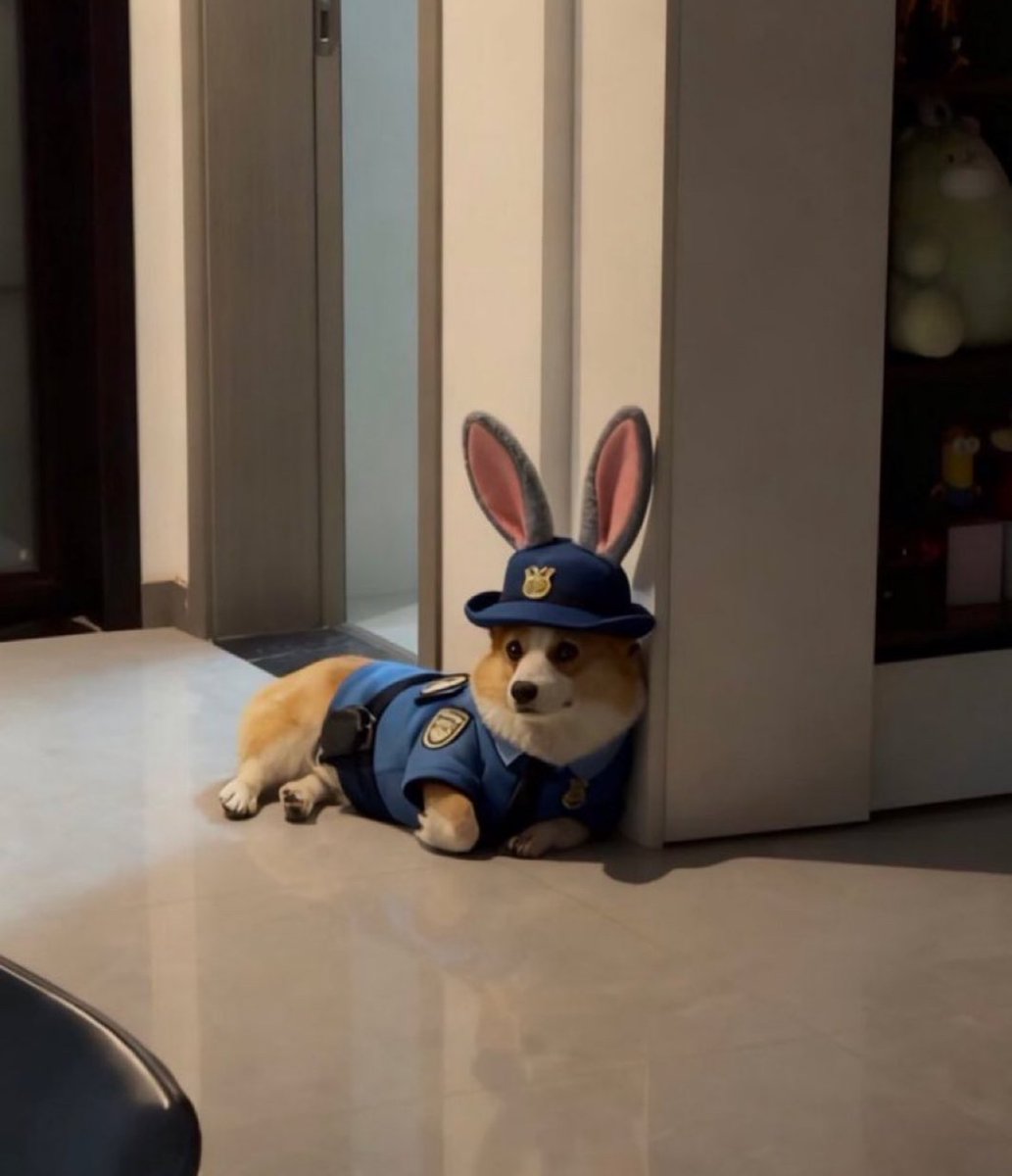 犬しか勝たん tweet media