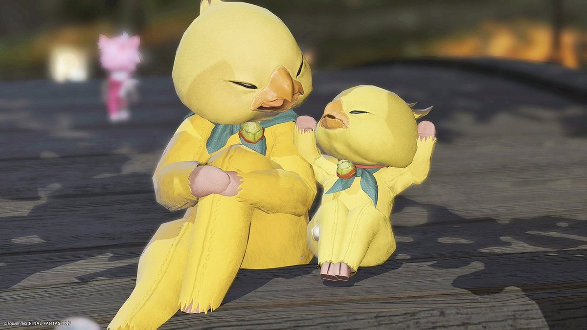 🐥Noah🐥☽Asura tweet media