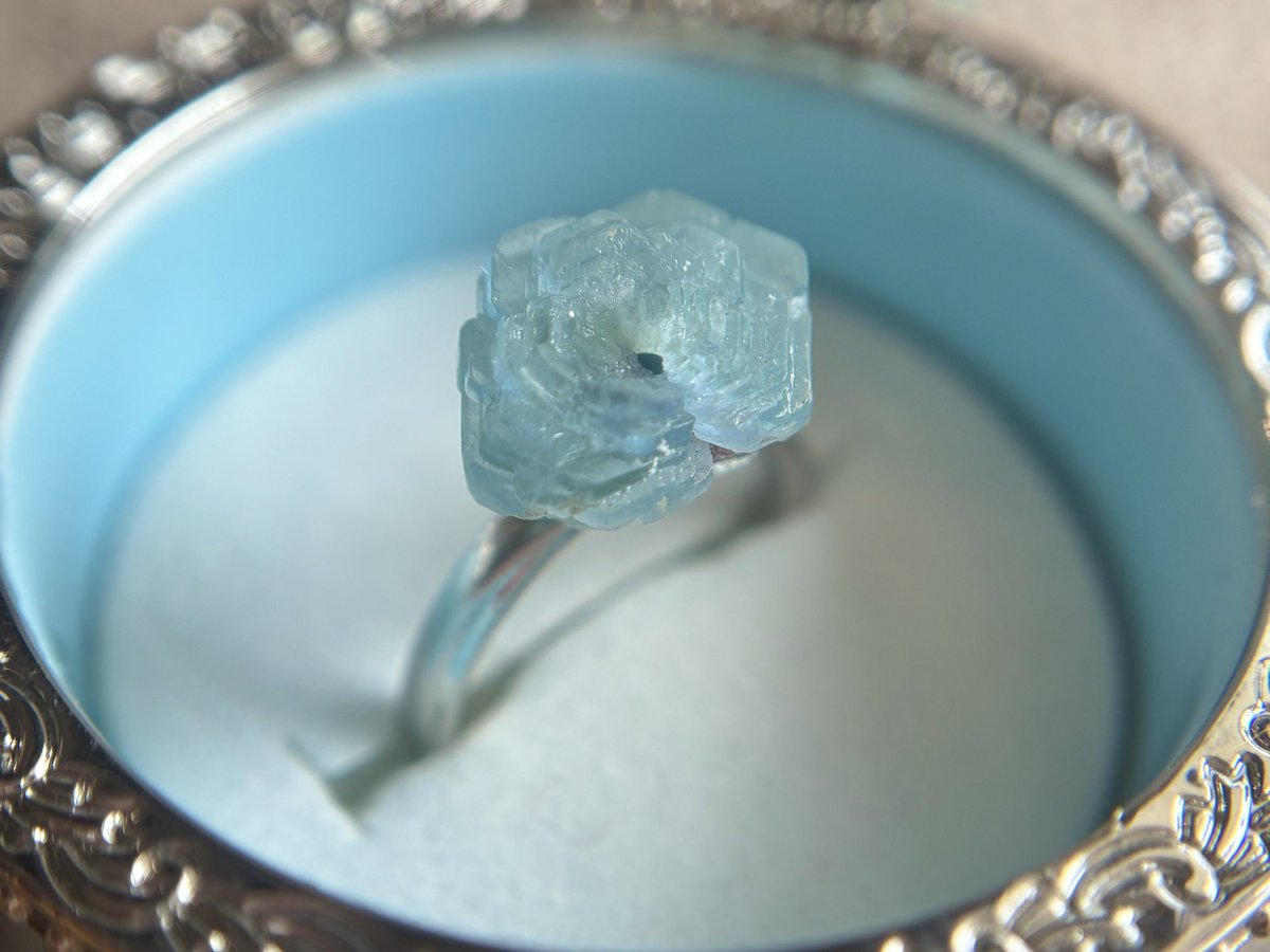 シャーリー・ストーン tweet media