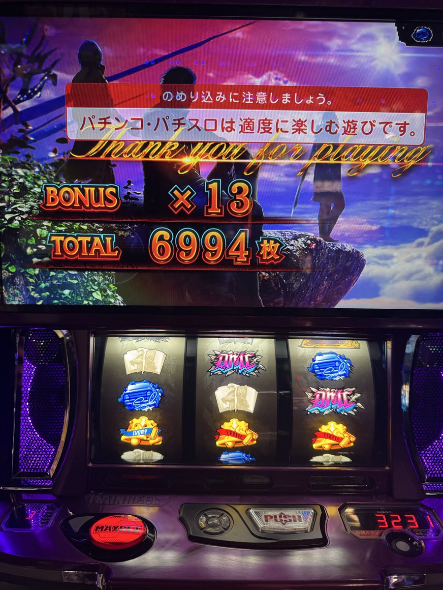 🍄しょーへー🦌🐈 tweet media